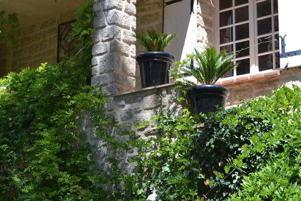 Mas Les Filaos Hotel Carpentras Exterior photo